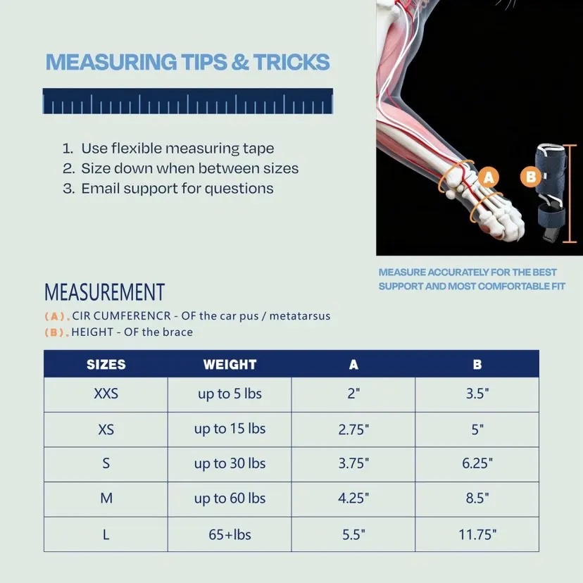 دعامة للكلاب لعلاج التواءات وك - مراجعة Ankle Brace Support وسعره